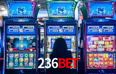 236bet - User Statistics