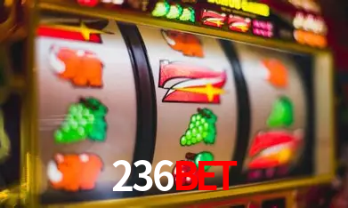236bet Salvador - Promo Stats